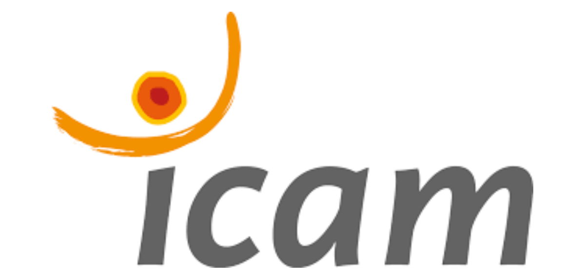 Logo Icam